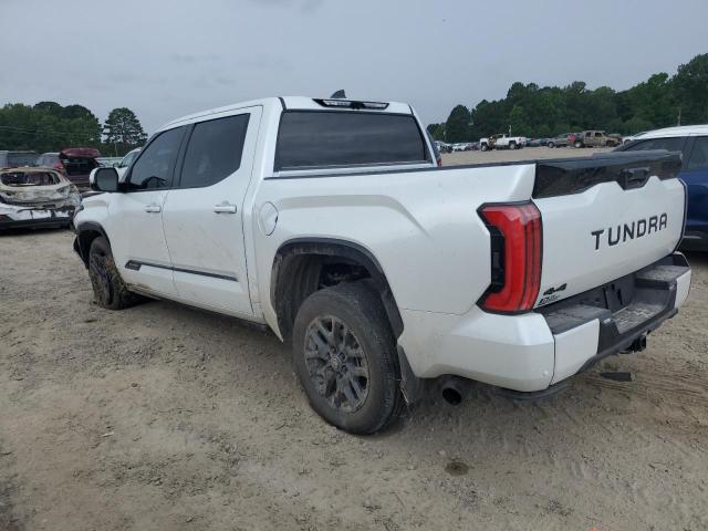 2025 TOYOTA TUNDRA CREWMAX PLATINUM 5TFNA5DB3SX284570