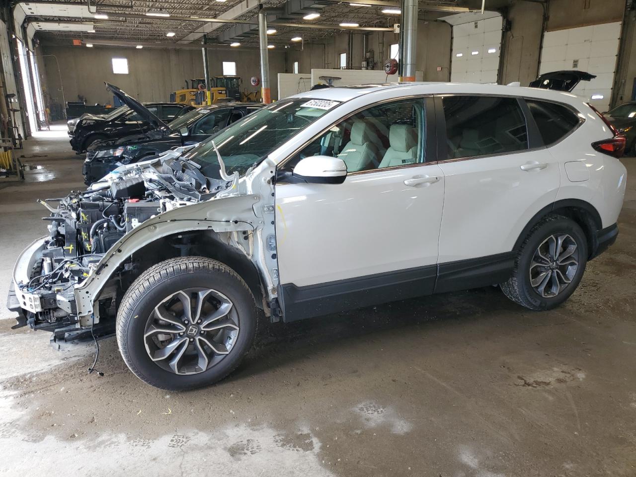 Honda Cr-v exl 2022