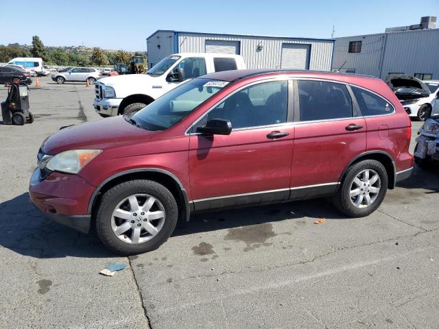 HONDA CR-V SE 2011 burgundy  gas 5J6RE3H4XBL043368 photo #1
