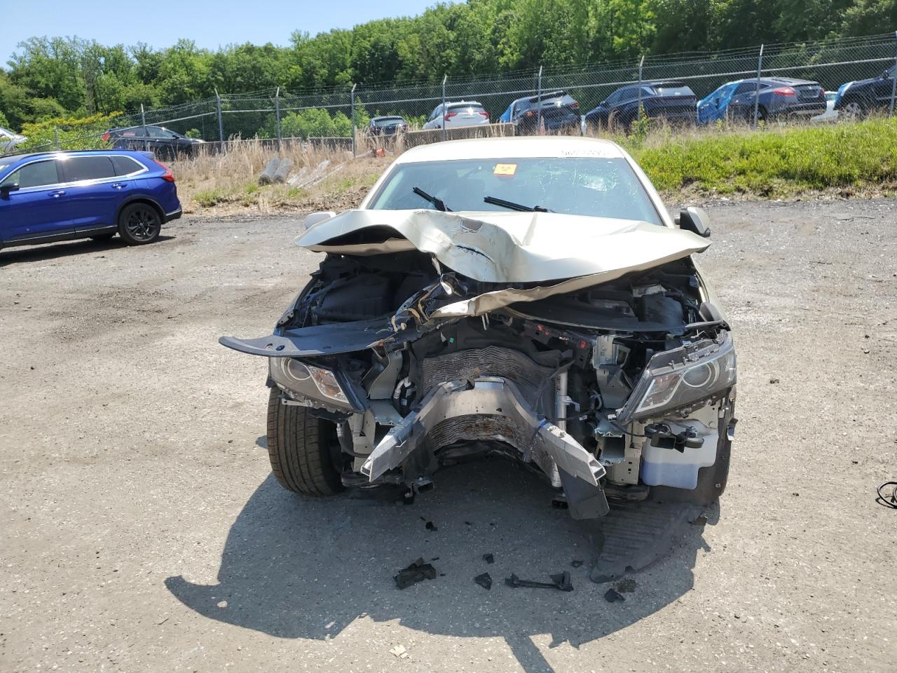 Global Auto Auctions