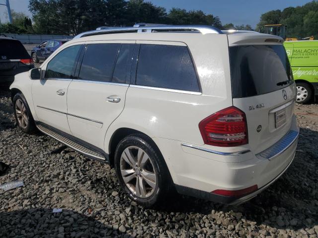 Vin: 4jgbf7be2aa574731, lot: 62141825, mercedes-benz gl-class 450 4matic 20102
