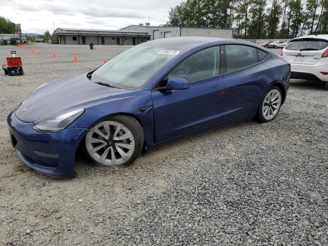 Vin: 5yj3e1ea7pf450973, lot: 61082175, tesla model 3 2023 img_1