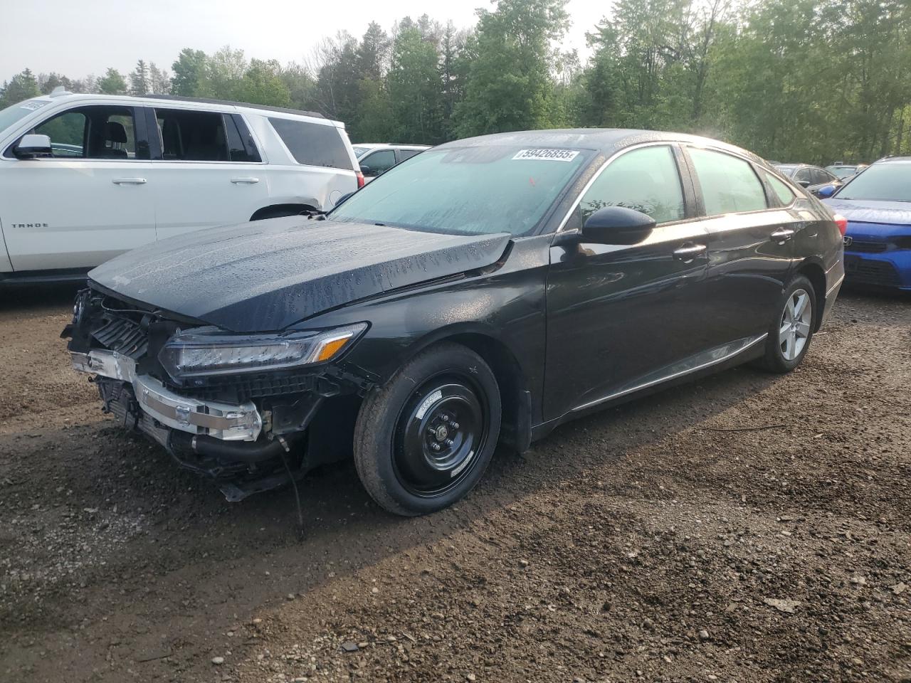 HONDA ACCORD TOURING