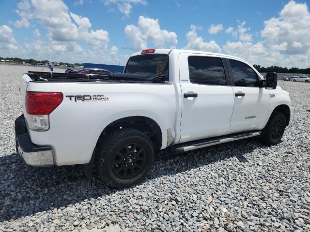 2010 TOYOTA TUNDRA CRE - 5TFFY5F13AX093573