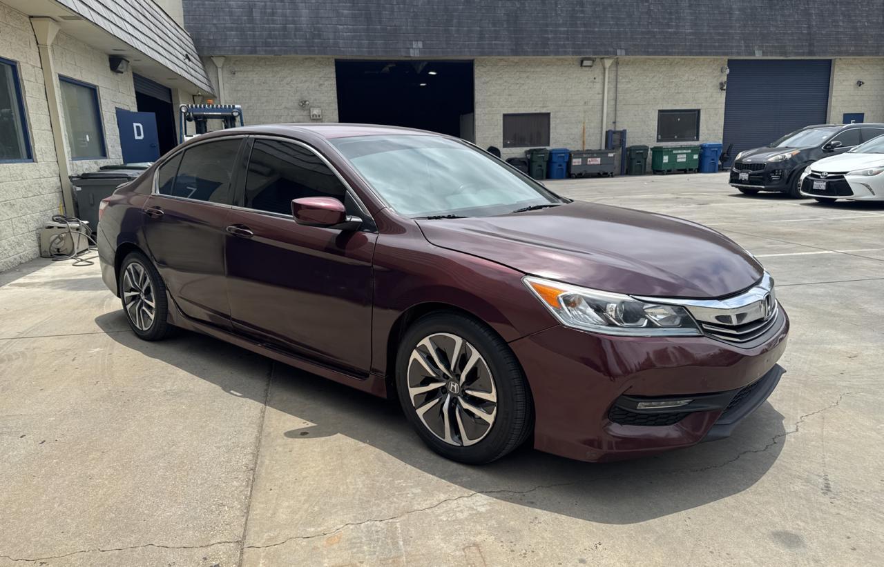 HONDA ACCORD SPORT