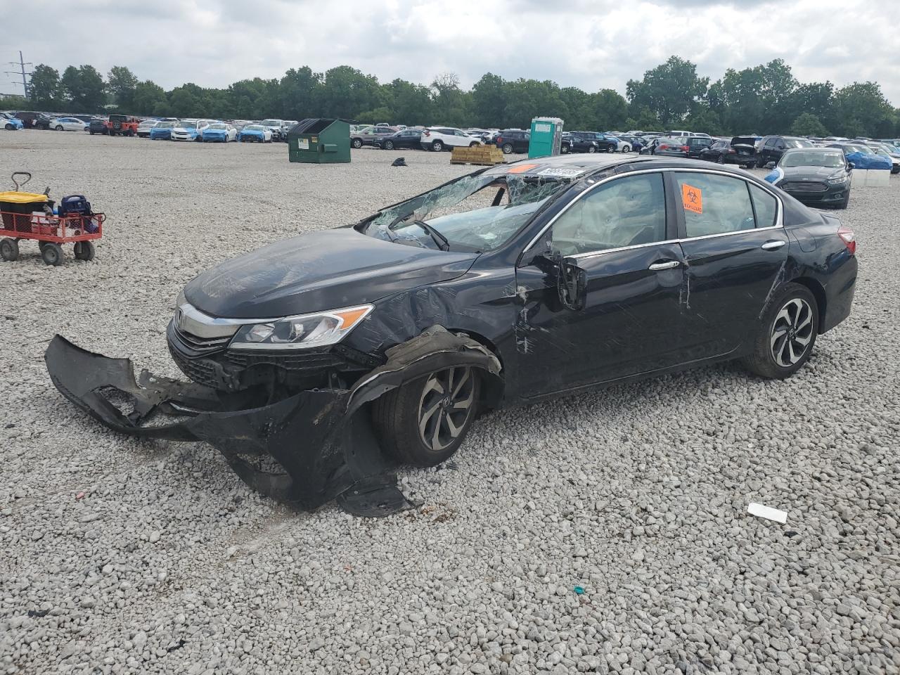 HONDA ACCORD EXL