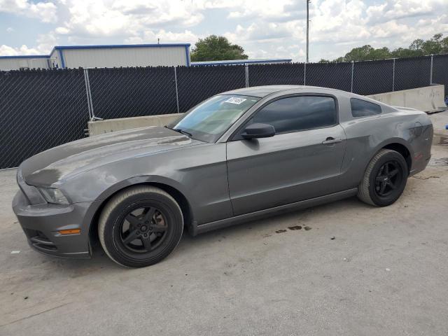 Vin: 1zvbp8am8d5215538, lot: 62214695, ford all models 2013 img_1