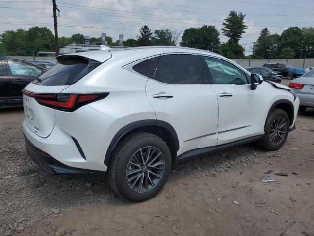 2025 LEXUS NX 350 PRE 2T2GGCEZ4SC078868