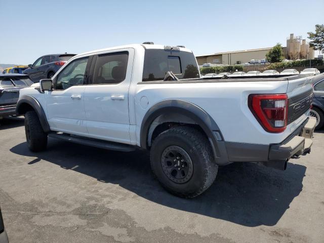 2023 FORD F150 RAPTOR 1FTFW1RG2PFA64935