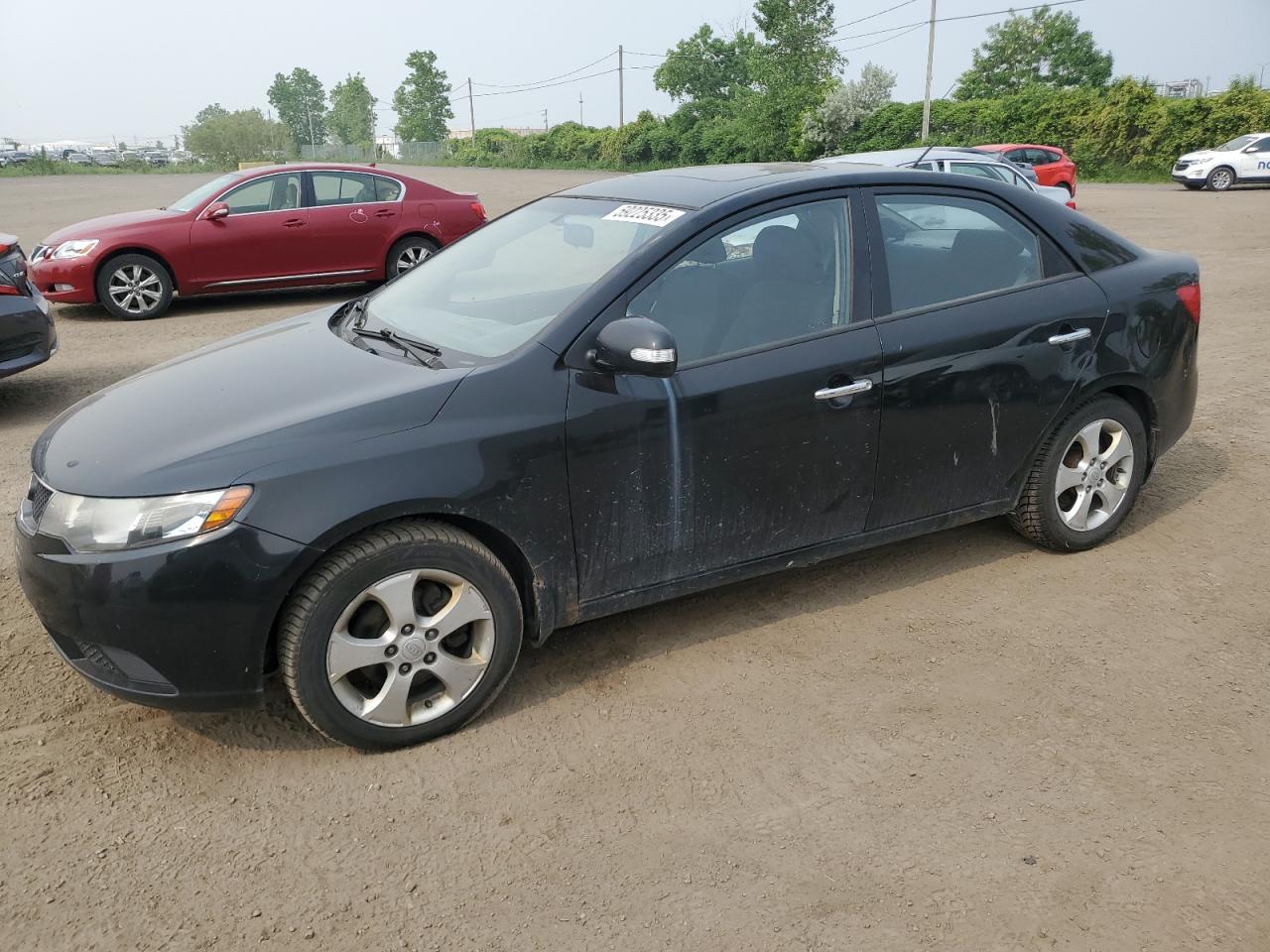 KIA FORTE EX