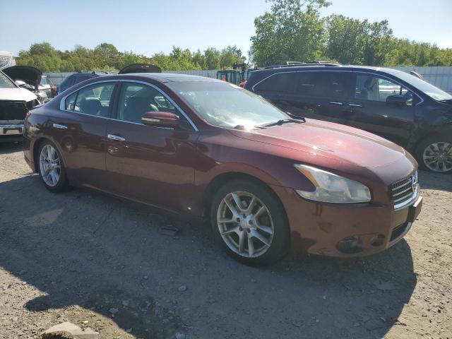 Vin: 1n4aa5ap7ac862051, lot: 57850765, nissan maxima s 20104