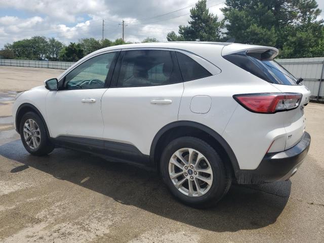 Vin: 1fmcu9g61luc05593, lot: 61683465, ford escape se 20202