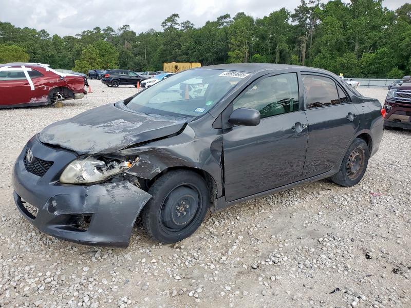 Vin: 1nxbu4ee8az199443, lot: 59559665, toyota corolla base 2010 img_1
