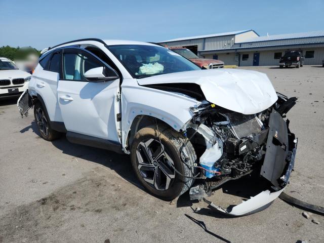 2024 HYUNDAI TUCSON SEL KM8JBDD20RU149849
