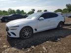 Top Destinations for Shipping Cars from the USA