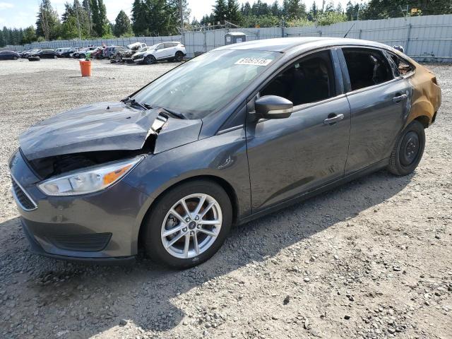 Vin: 1fadp3f23hl244619, lot: 61057515, ford focus se 2017 img_1
