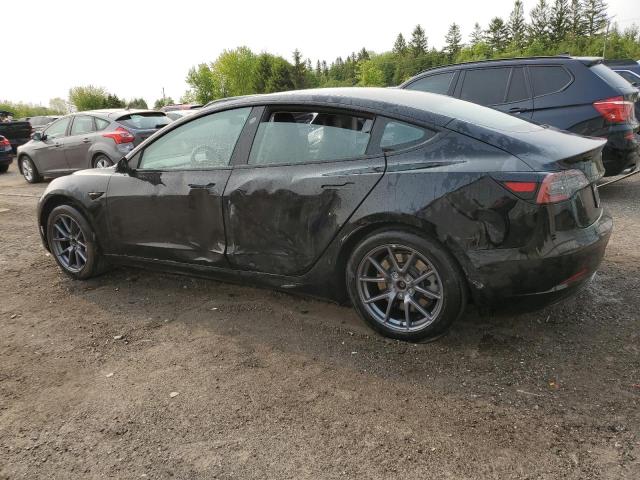 Vin: lrw3e1fa8pc875661, lot: 58317775, tesla model 3 20232