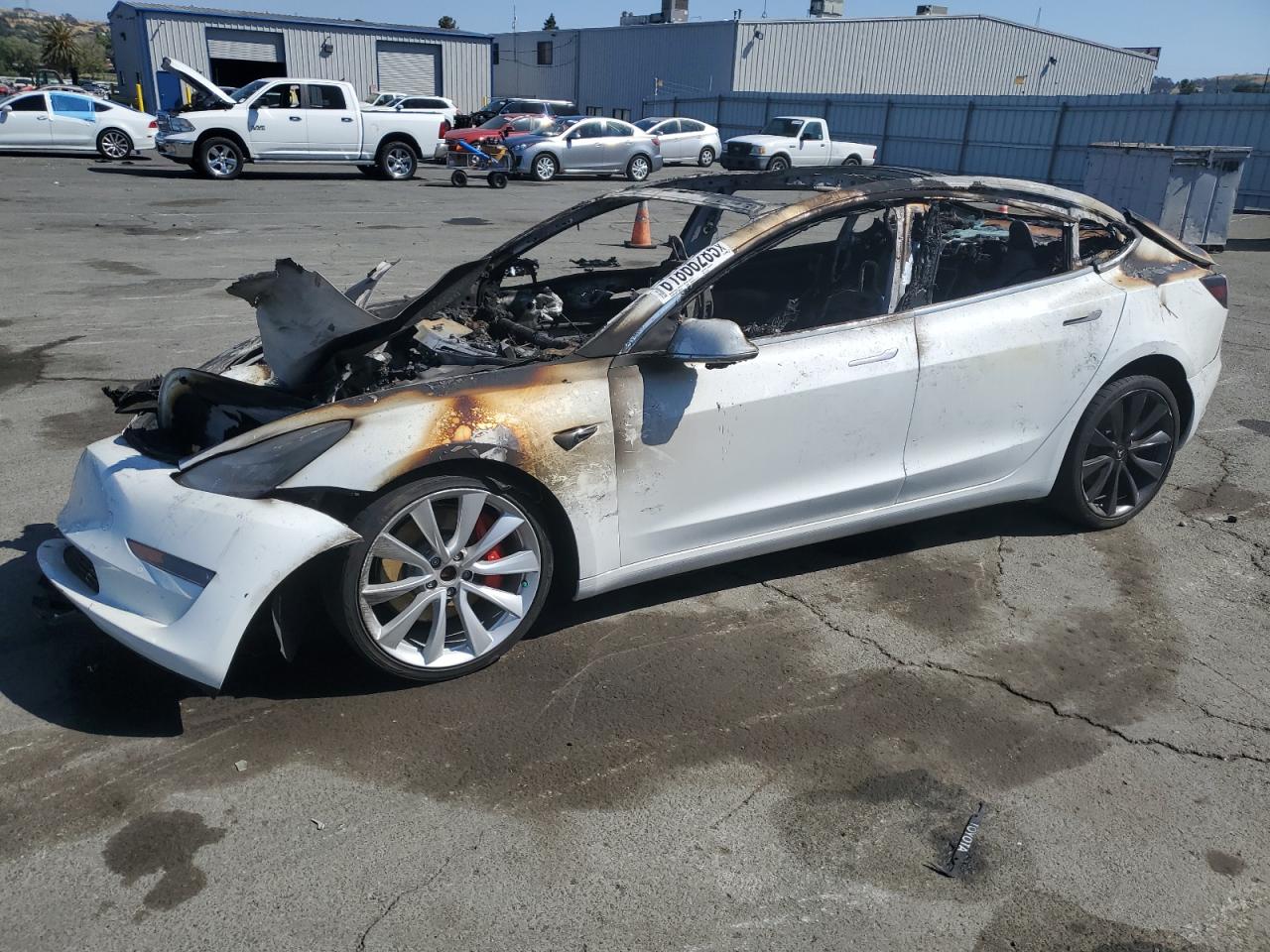 Lot #3259444133 2019 TESLA MODEL 3