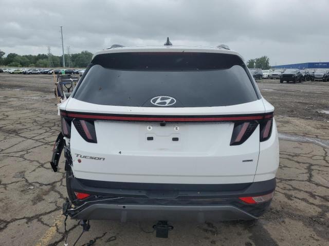 2023 HYUNDAI TUCSON LIM 5NMJECAE9PH233581