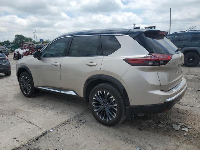 2024 NISSAN ROGUE PLAT JN8BT3DCXRW380226