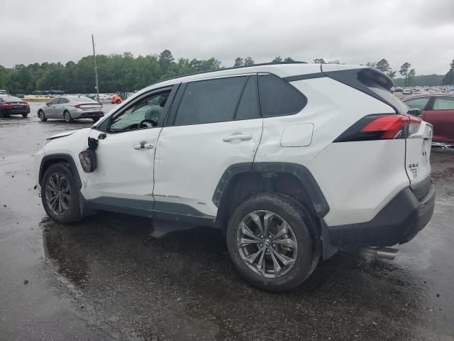 Vin: 2t3b6rfv8rw074600, lot: 59560115, toyota rav4 xle premium 20242