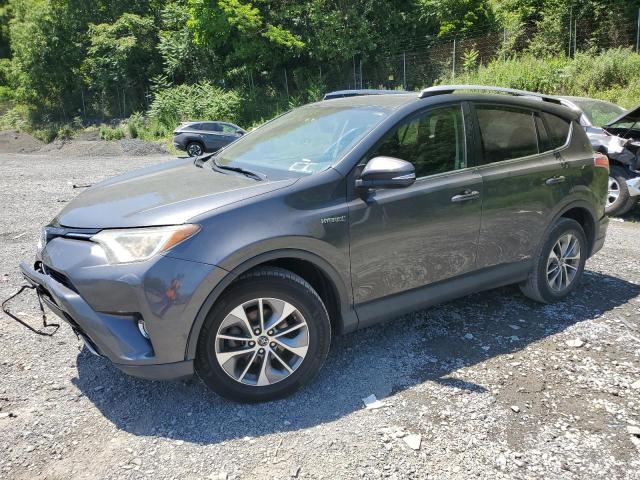 Vin: jtmrjrev5gd004982, lot: 62160975, toyota rav4 xle 2016 img_1