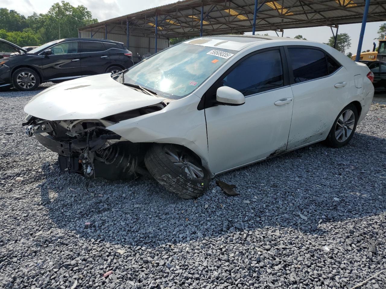 TOYOTA COROLLA ECO