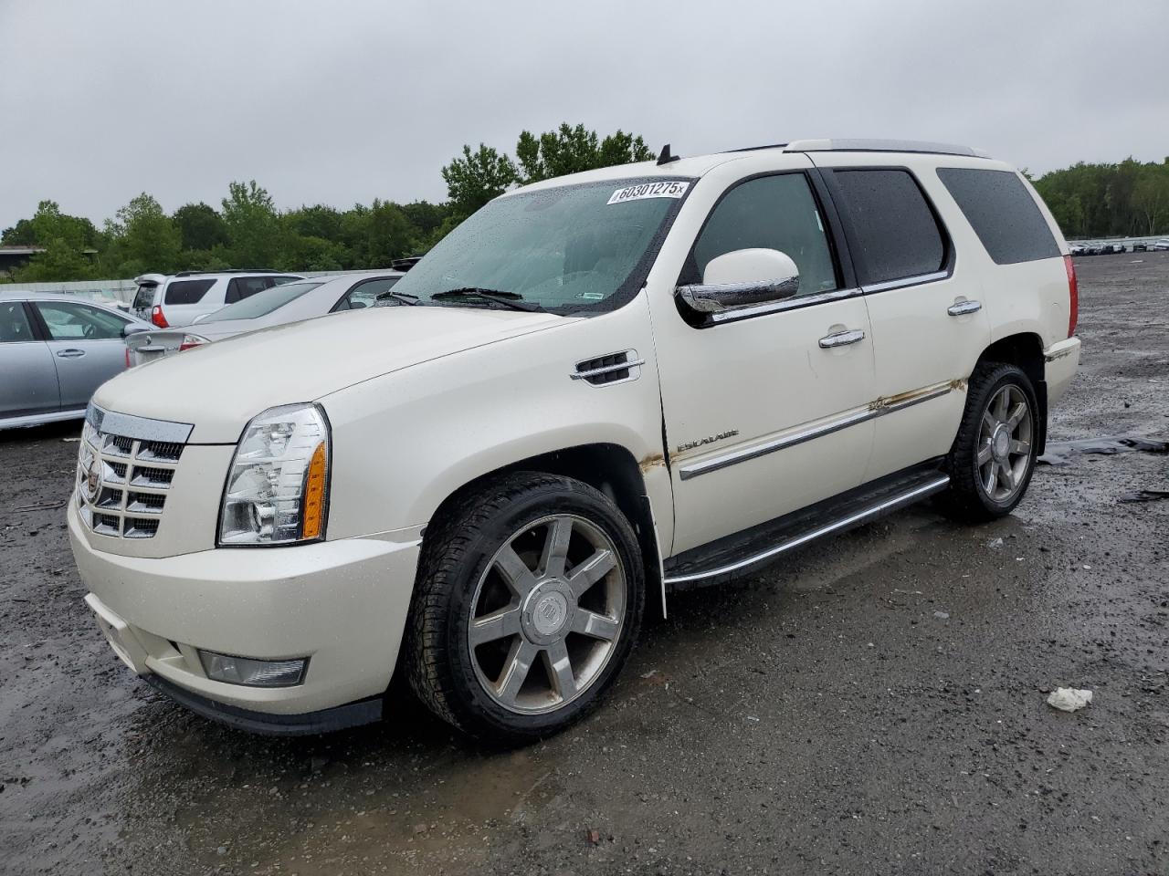 CADILLAC ESCALADE LUXURY