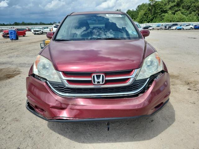 2010 HONDA CR-V EXL - 5J6RE3H75AL035008