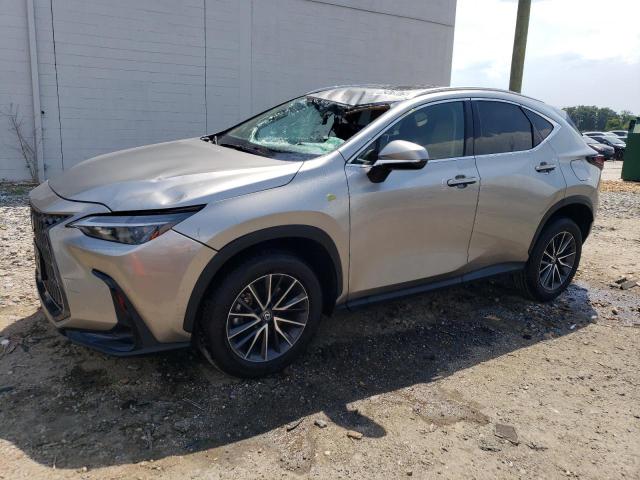 Vin: 2t2akcezxrc020696, lot: 62478075, lexus nx 350h ba 350h base 2024 img_1
