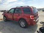 Lot #3304765960 2012 FORD ESCAPE XLT