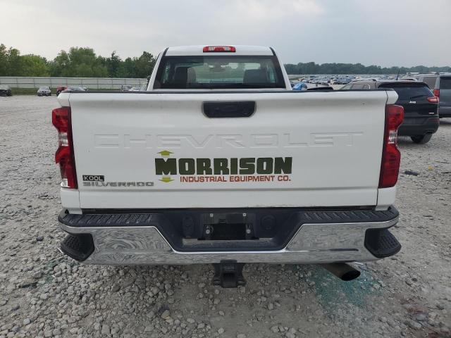 2020 CHEVROLET SILVERADO - 1GC0YLE70LF239050