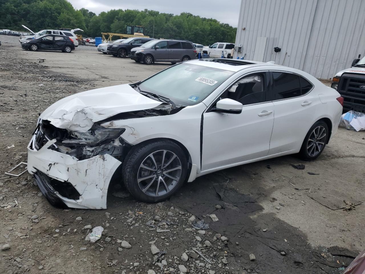 ACURA TLX TECH