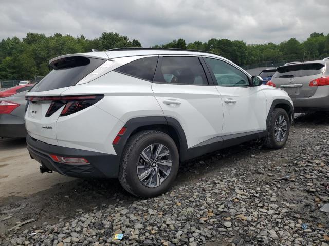 2022 HYUNDAI TUCSON BLU KM8JBCA10NU082217