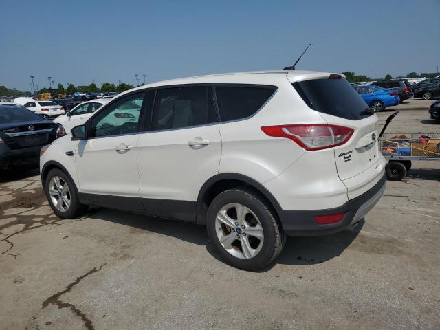 Vin: 1fmcu0gx5euc92342, lot: 60371015, ford escape se 20142