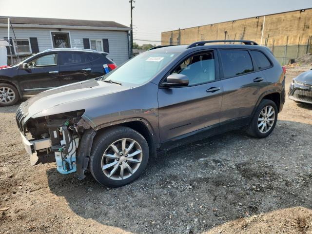 2018 JEEP CHEROKEE L - 1C4PJLCB8JD607817
