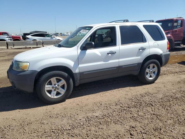 FORD ESCAPE HEV 2006 white  hybrid engine 1FMYU96H16KD50206 photo #1