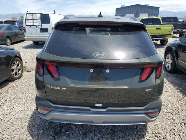 2025 HYUNDAI TUCSON SEL 5NMJBCDEXSH504208