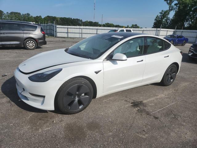 Vin: 5yj3e1eb6pf632320, lot: 59350605, tesla model 3 2023 img_1