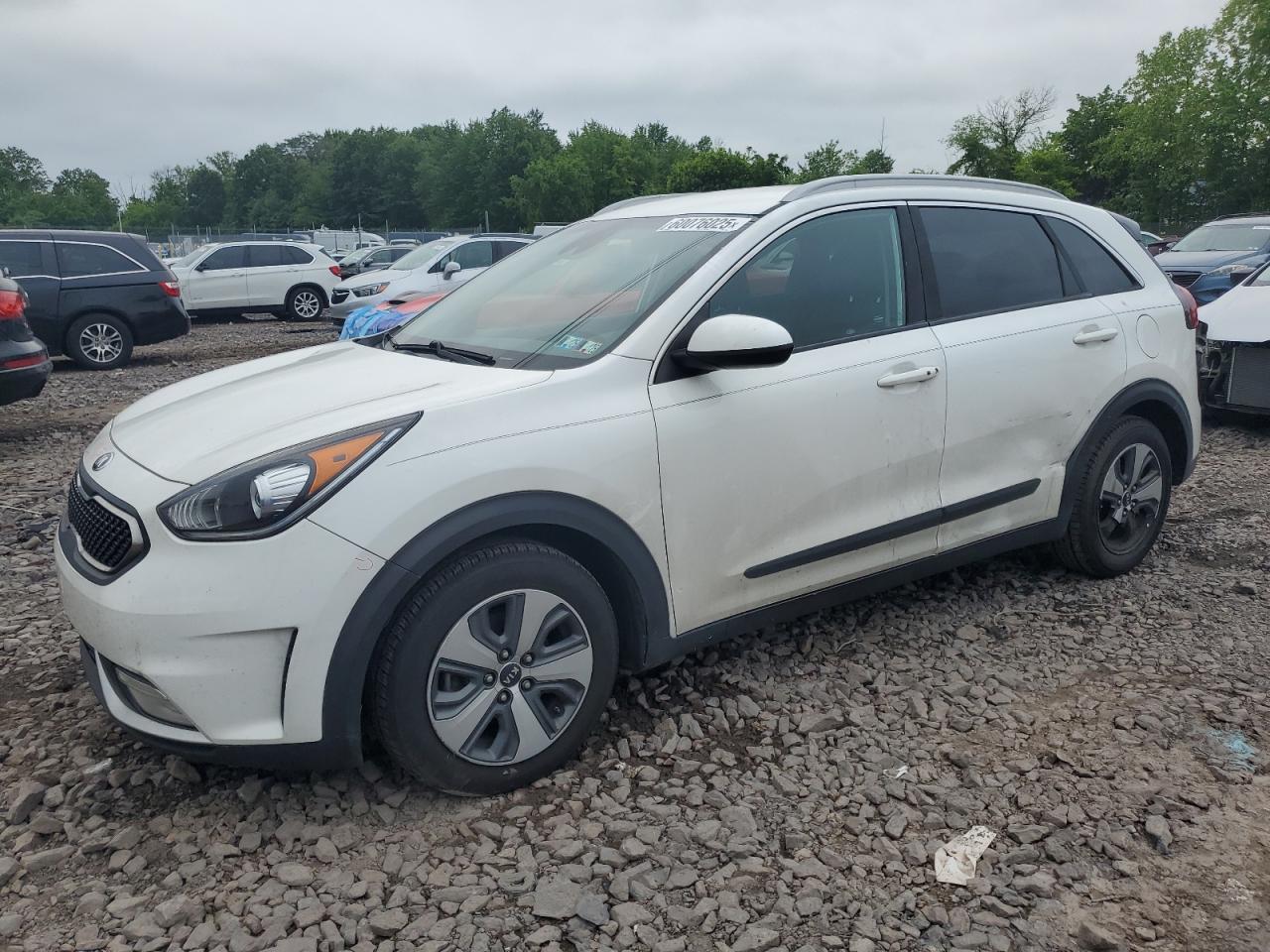 KIA NIRO FE