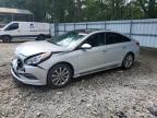 2016 HYUNDAI SONATA SPO - 5NPE34AF3GH378611