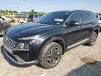 2025 HYUNDAI SANTA FE L - 5NMS4DAL1PH537676