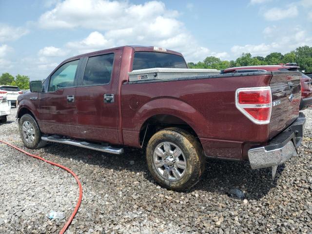 Vin: 1ftew1c82afb29464, lot: 59440135, ford f-150 supercrew 20102