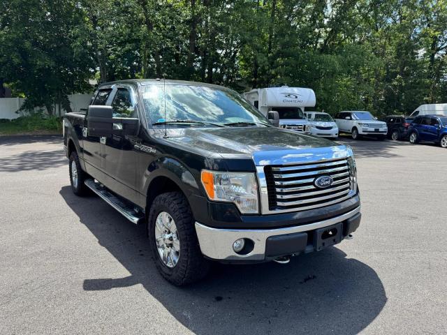 Vin: 1ftfw1ev0afb73518, lot: 62685025, ford f-150 supercrew 20104