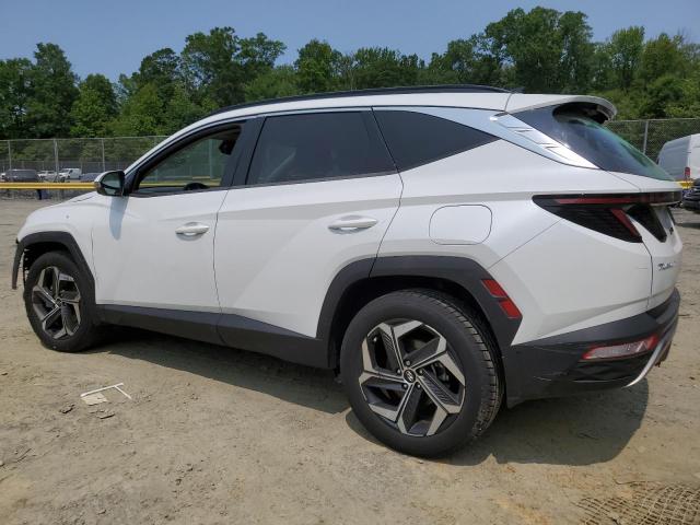 2022 HYUNDAI TUCSON LIM - 5NMJECAE3NH052585