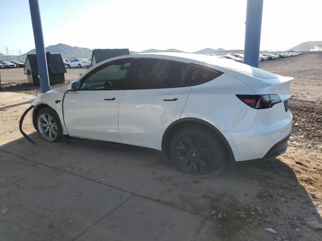 2023 TESLA MODEL Y - 7SAYGDEEXPF646087