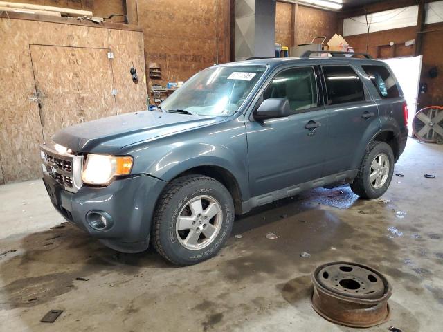 Vin: 1fmcu0d71bkb58407, lot: 60675505, ford escape xlt 2011 img_1