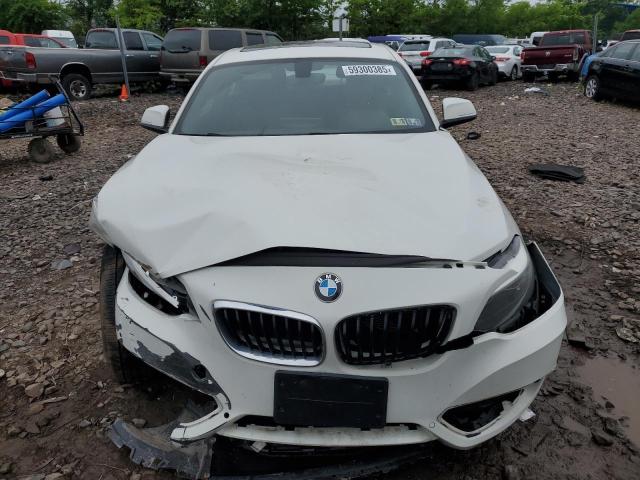 2016 BMW 228 XI SUL WBA1G9C53GV599188