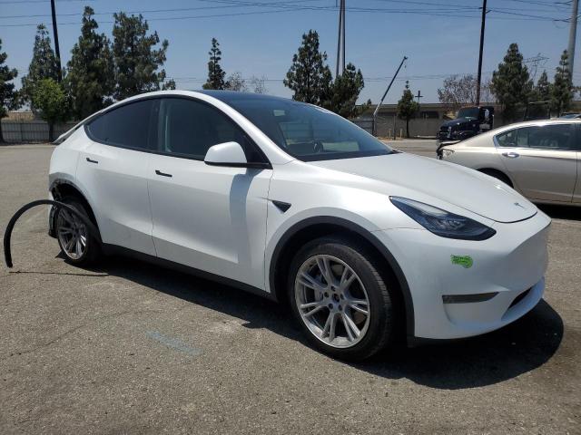 2023 TESLA MODEL Y 7SAYGDEE7PA067653