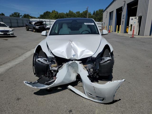2024 TESLA MODEL Y 7SAYGDEEXRF065160